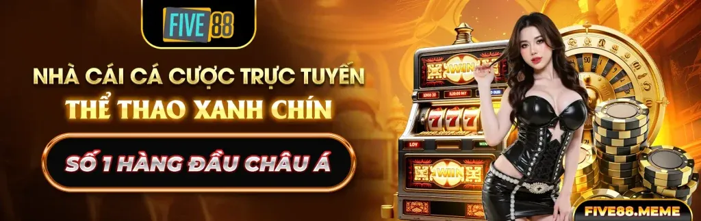 Điều khoản Dịch vụ donclub casino