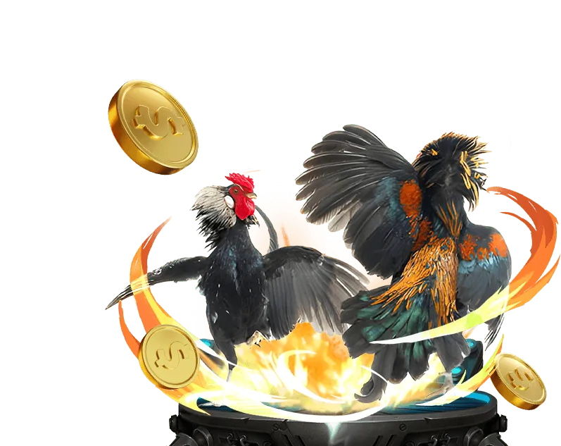 Đánh giá độc quyền donclub casino